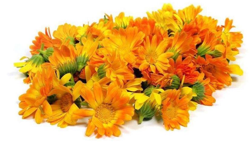 Marigold extract Promicil